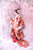 赤八重重ね色打掛