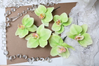 【ヘッドフラワー】グリーンの胡蝶蘭