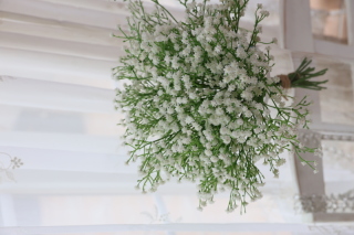 【ブーケ】カスミソウのブーケ