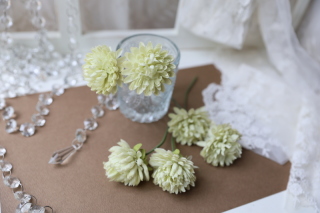 【ヘッドフラワー】グリーン系ピンポンマム