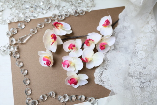 【ヘッドフラワー】ホワイト×ピンクの胡蝶蘭