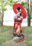 粋な赤黒の色打掛