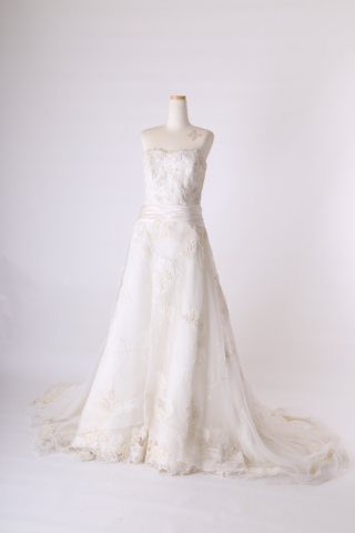 エレガントなレースのAラインドレス