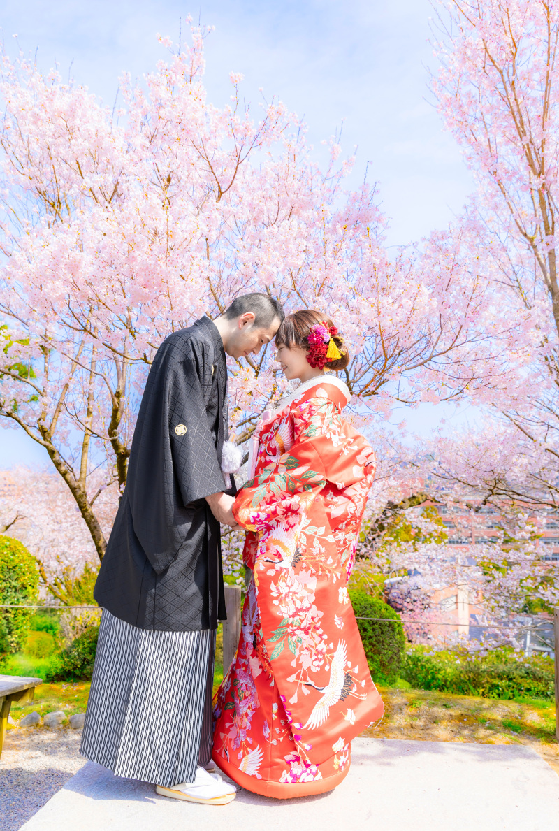 ピンクが濃い桜と青空のコントラスト