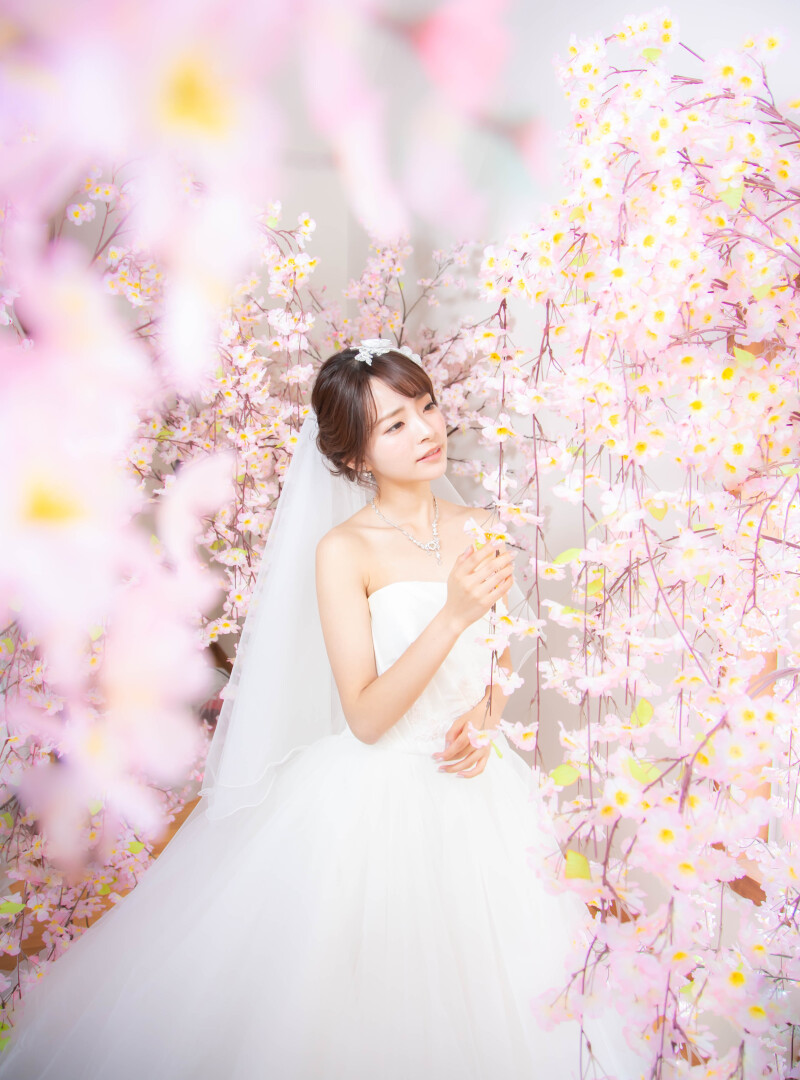 お花がいっぱいの撮影スポットがたくさん♪