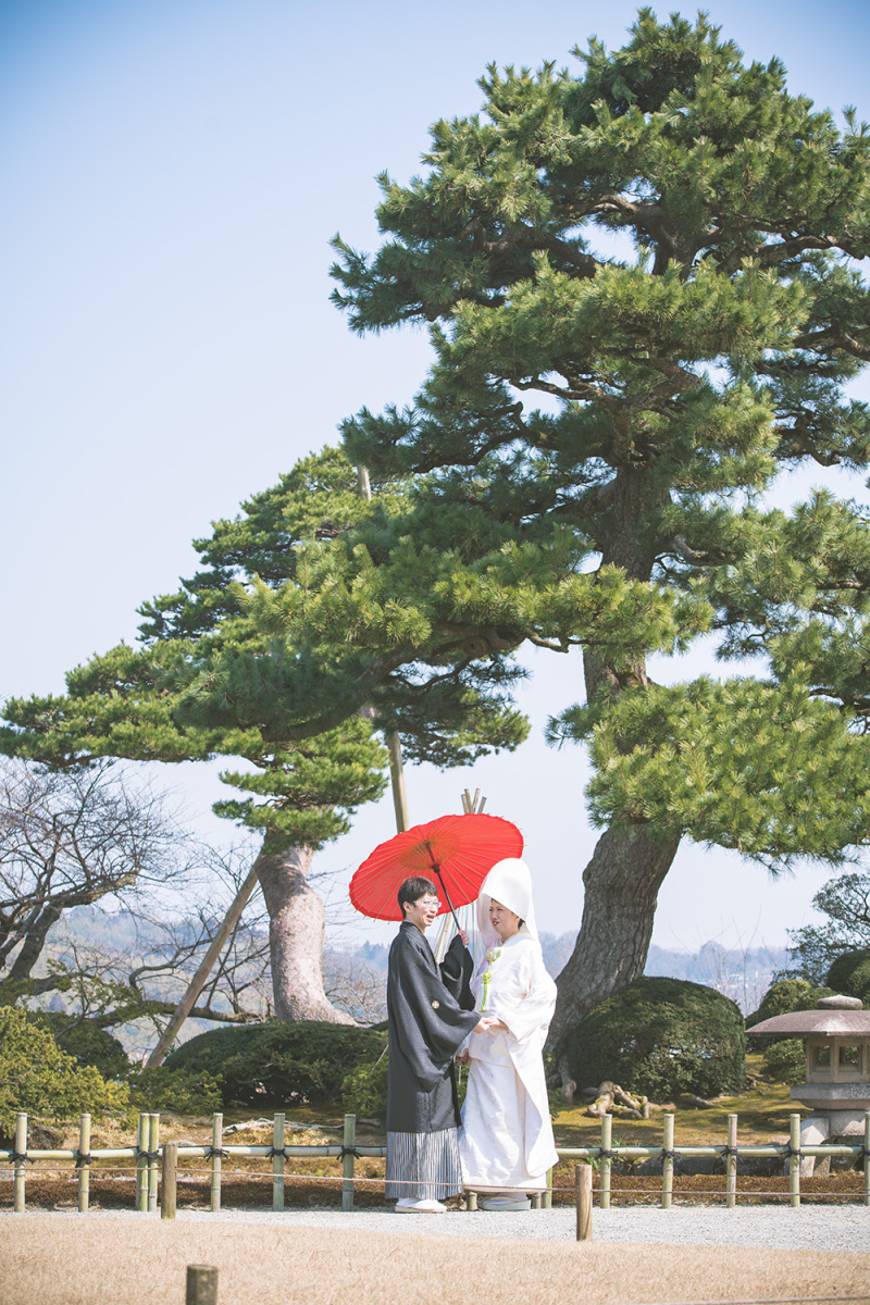 和傘を持って木を背景に