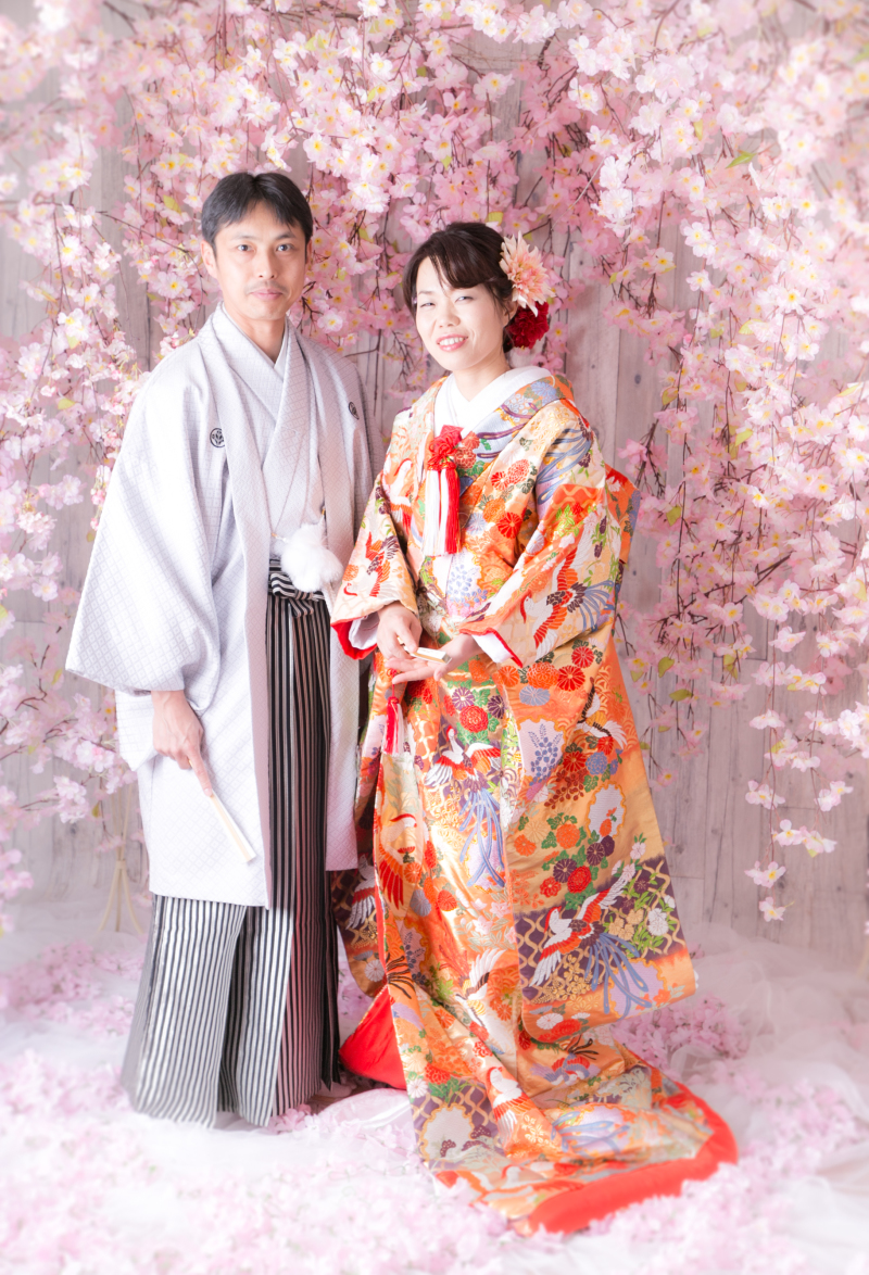 クリームオレンジの色打掛と満開の桜