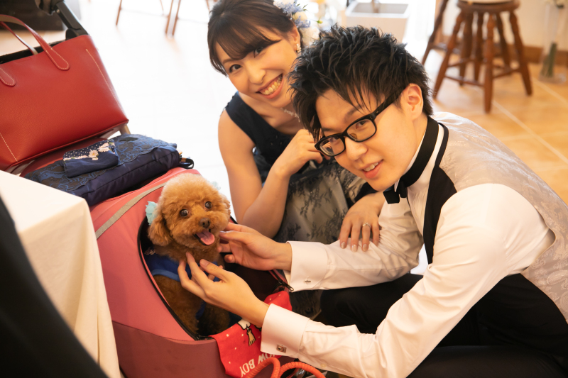 お食事会だってワンちゃんと一緒に♪