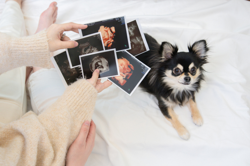 ペットと一緒に撮影も♪