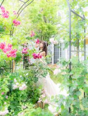 【フォトウェディング専門】貸切邸宅スタジオ　アトリエ リシュマリア