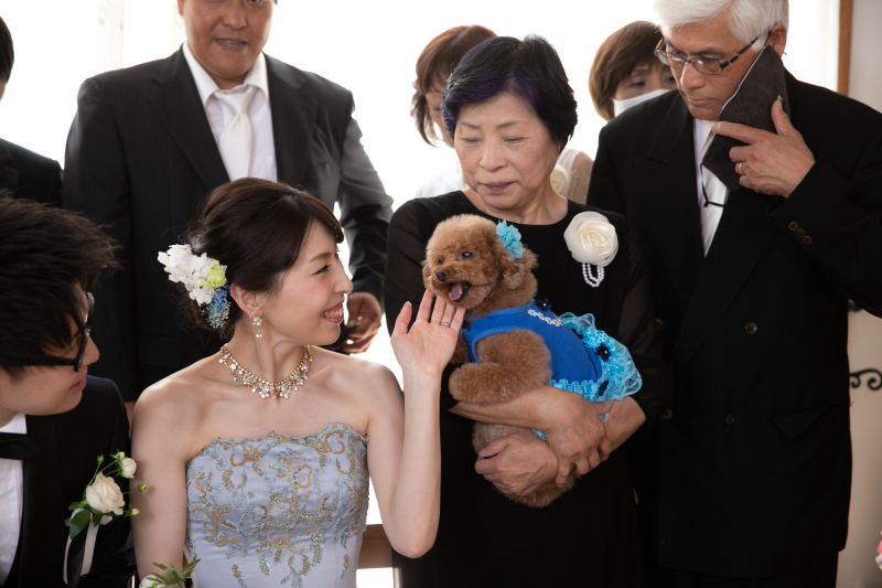 【フォトウェディング専門】貸切邸宅スタジオ アトリエ リシュマリア_ペットと一緒に撮影できる