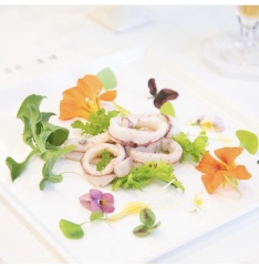 お食事会フルコース婚礼料理