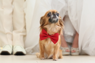 大好きなティナちゃんと3人で♡