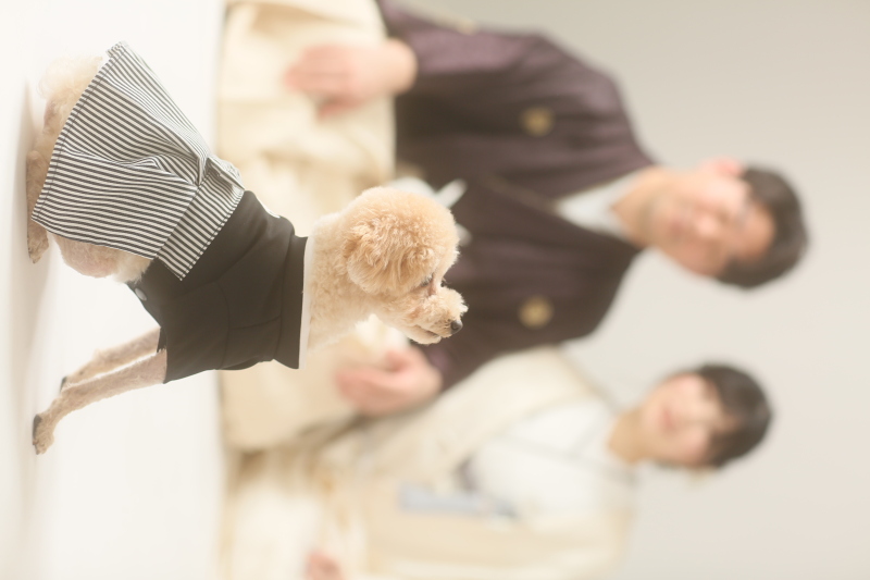 撮影にあたりまして何か準備したものはありますか？