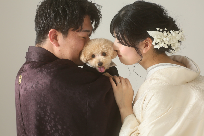 aimを選んだ決め手はなんですか？