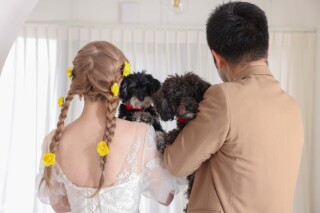 お客様インタビュー