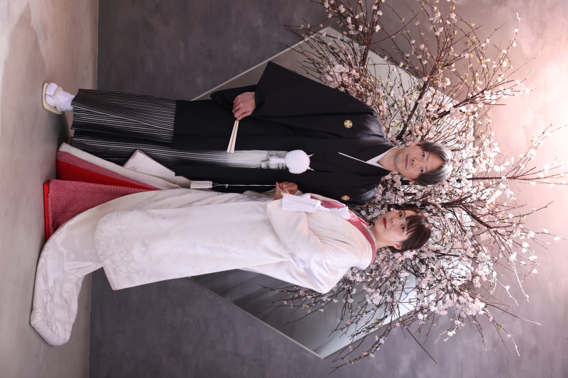 桜とコンクリートがモダン