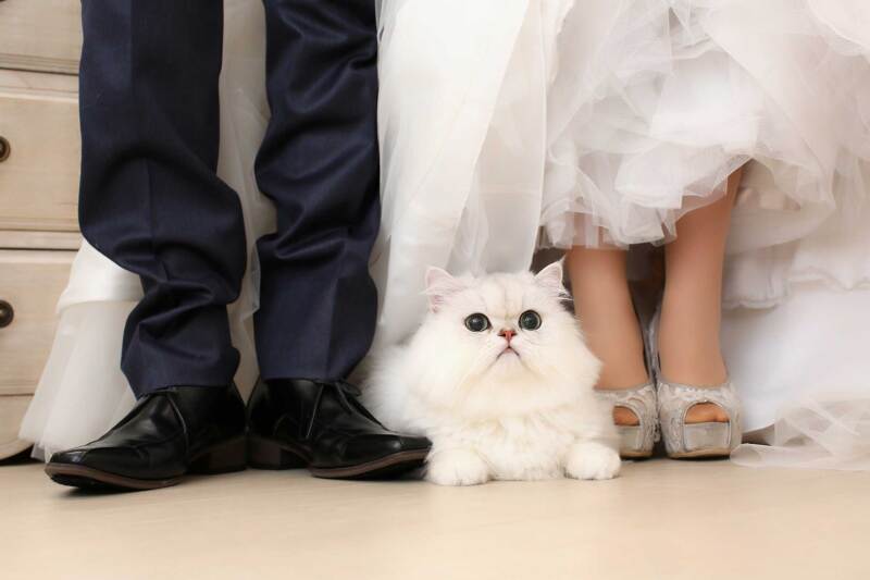 aim東京原宿店_ペットと一緒に撮影できる