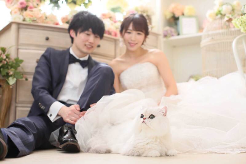 aim東京原宿店_ペットと一緒に撮影できる