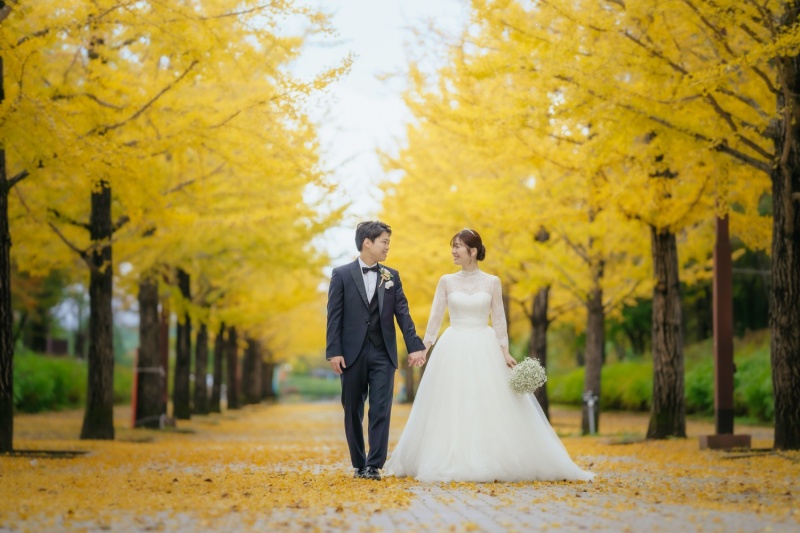 あづま総合運動公園のイチョウ並木＋聖アンナ教会