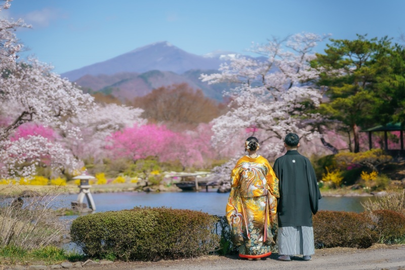 全景