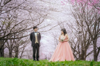 アンナ教会＋桜　鶴ヶ城＋武家屋敷