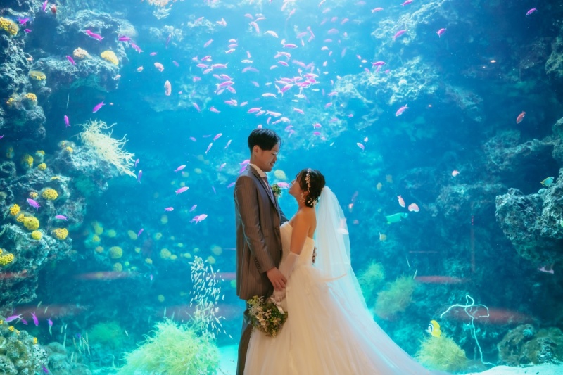 アクアマリンふくしま