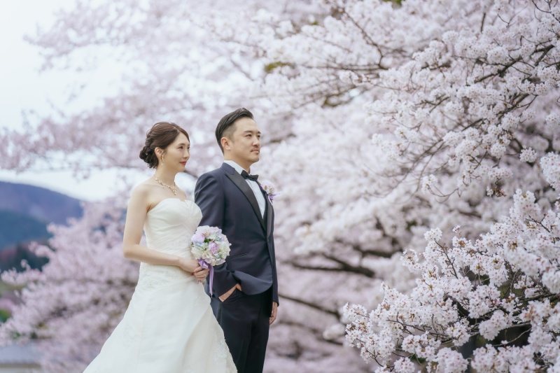 堀切邸＋福島市の桜