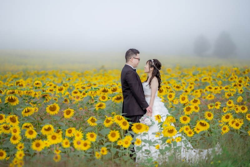 布引高原＋猪苗代湖