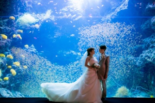 アクアマリンふくしま