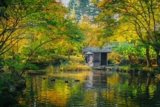 あづま総合運動公園　イチョウ並木＋民家園
