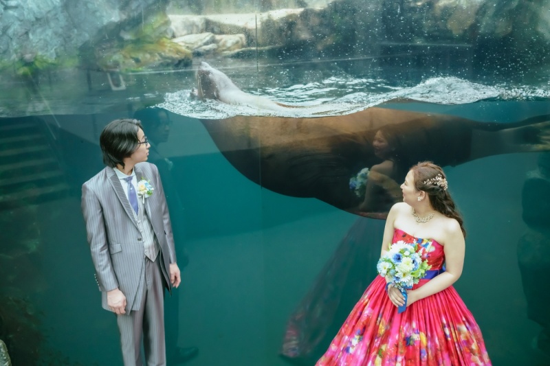 アクアマリンふくしま