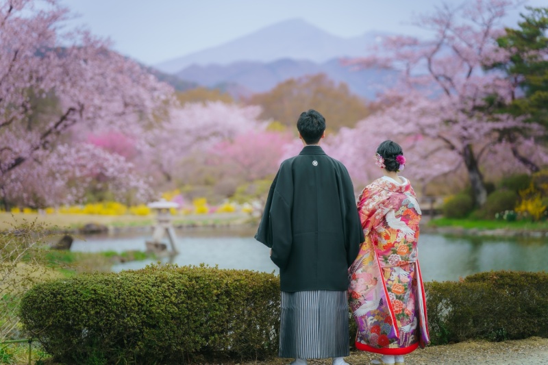 全景