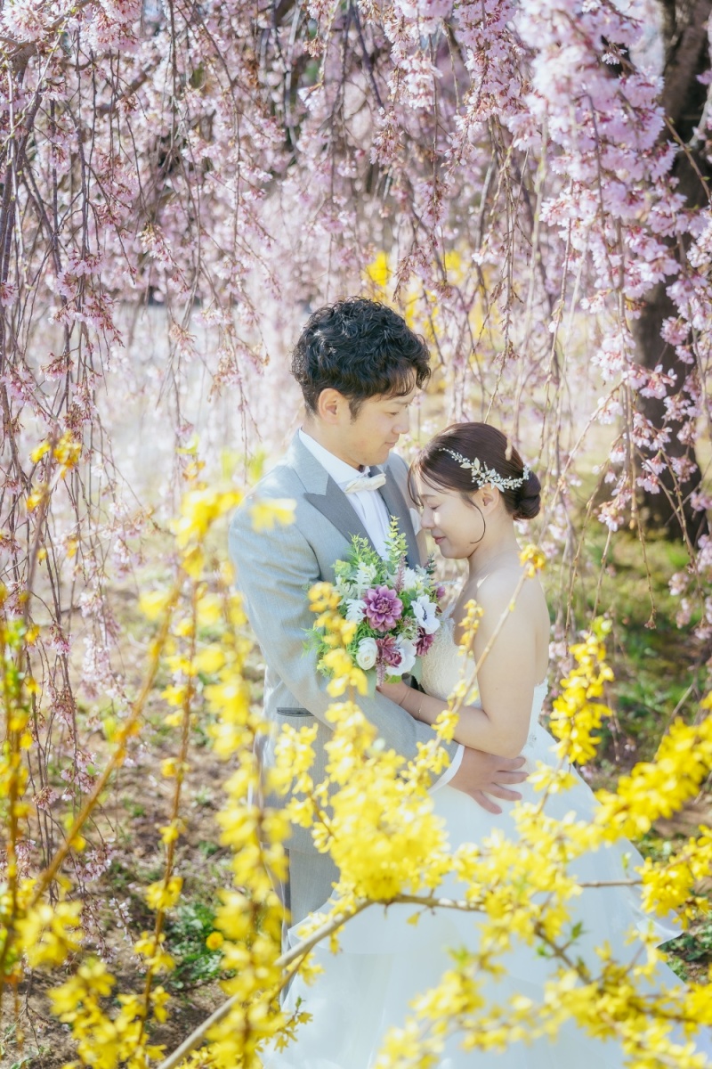 しだれ桜