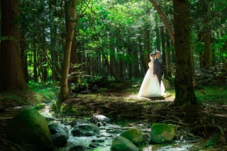 スタジオ＋水林