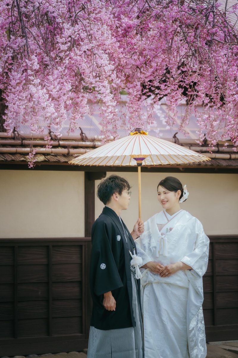 しだれ桜