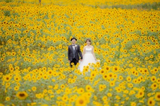 布引高原＋猪苗代湖　鶴ヶ城＋武家屋敷