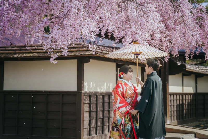 しだれ桜