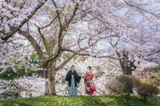 武家屋敷＋亀ヶ城公園