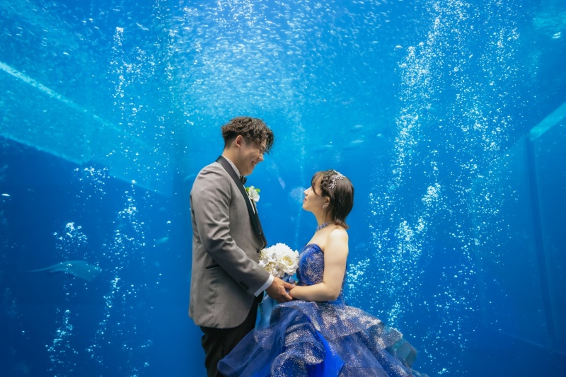 いわきの海＋アクアマリンふくしま