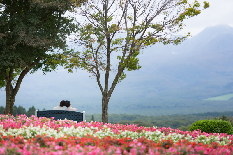 バックショット
