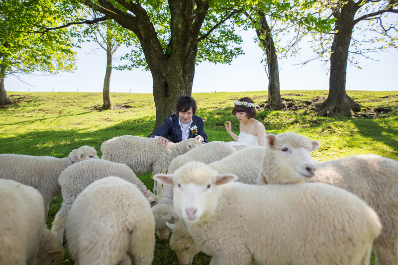 森林ノ牧場+那須どうぶつ王国+八幡のつつじ