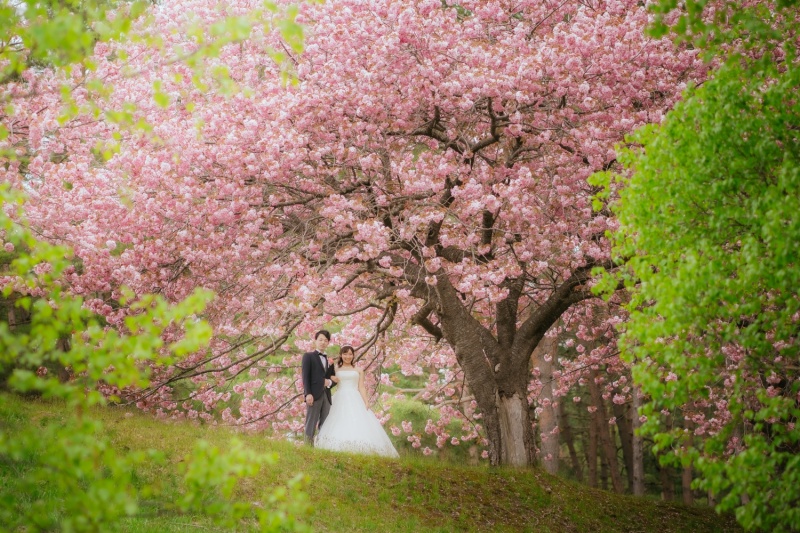 天鏡台＋猪苗代湖　スタジオ＋堀切邸
