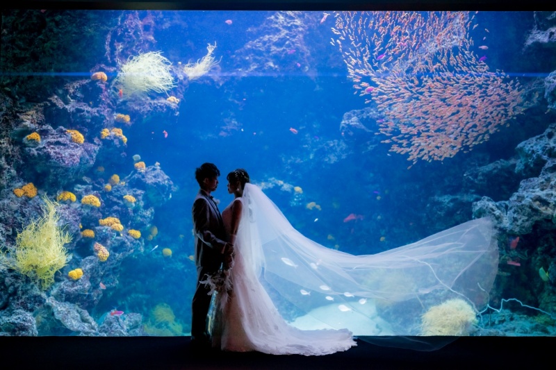 海+アクアマリンふくしま 鶴ヶ城+武家屋敷