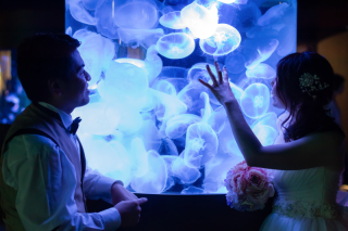 マリンピア日本海＋海