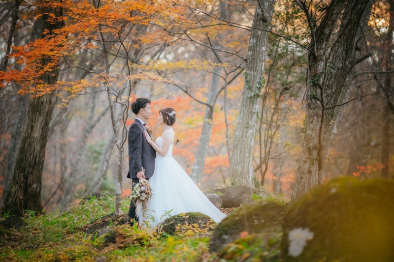 スタジオ+民家園+水林