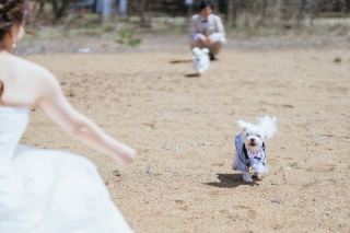 緑水苑＋猪苗代湖