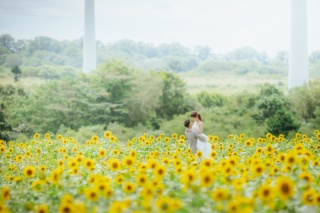 布引高原＋猪苗代湖