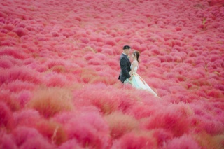 ひたち海浜公園