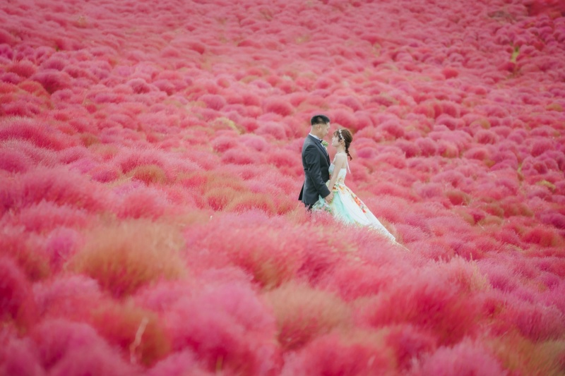 ひたち海浜公園